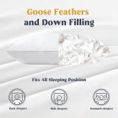 Padi Luxe Feather