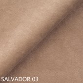 Kangas Salvador (II grupp)