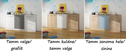 Lahtikäiv lastevoodi Roger 